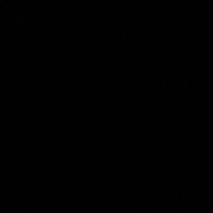 Meet your Posher, Brady